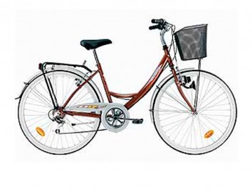 40_City_Bike_21S